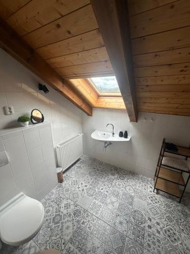 a bathroom with a toilet and a sink at Medová chaloupka in Černá Voda