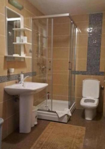 a bathroom with a shower and a sink and a toilet at Apolon Spa in Vrnjačka Banja