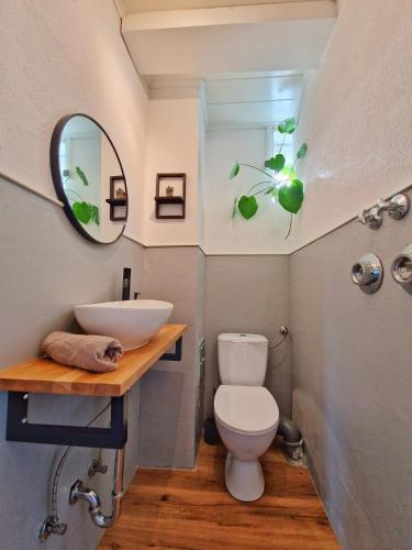a bathroom with a sink and a toilet and a mirror at FeWo Talblick - modern, charmant, Feldrand in Bad Orb