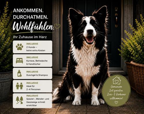 a dog is sitting in front of a door at Harzurlaub mit 2 Hunden - FeWo Alte Schule in Sankt Andreasberg in Sankt Andreasberg