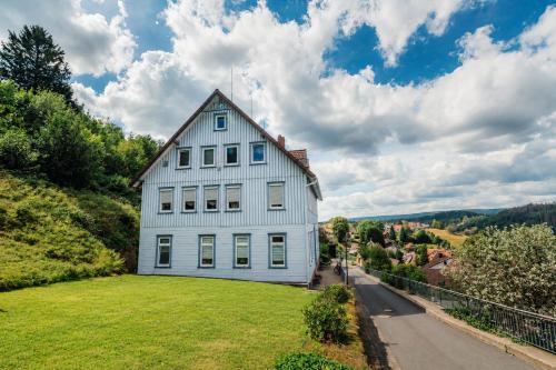 a white house on a hill with a green yard at Harzurlaub mit 2 Hunden - FeWo Alte Schule in Sankt Andreasberg in Sankt Andreasberg