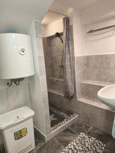 a bathroom with a shower and a toilet and a sink at Slanraj Studio in Jadrtovac