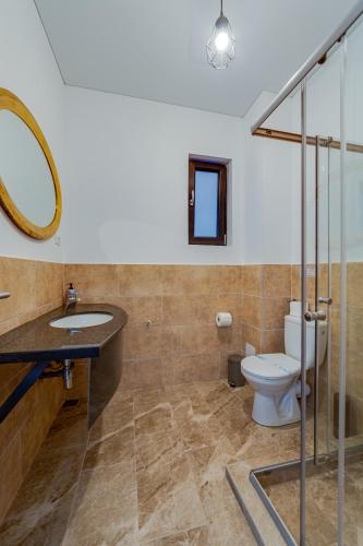 a bathroom with a sink and a toilet at Complex PopDan in Costinesti