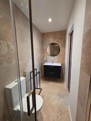 a bathroom with a toilet and a sink and a mirror at La Casadrine in Le Grau-dʼAgde
