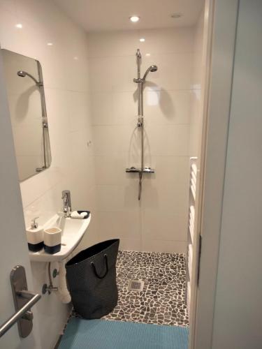 a bathroom with a sink and a shower at Au petit Mittlach in Mittlach