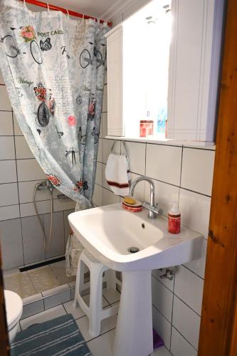 a bathroom with a sink and a shower curtain at Thalia Sea View Apartment in Nea Peramos