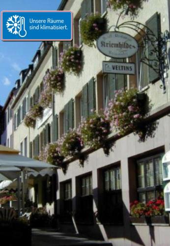 a building with potted plants on the side of it at Hotel Kriemhilde in Worms