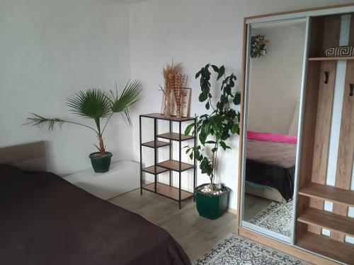 a room with two potted plants and a mirror at Уютная комната в квартире в ЖК Одесский Бульвар in Teremki