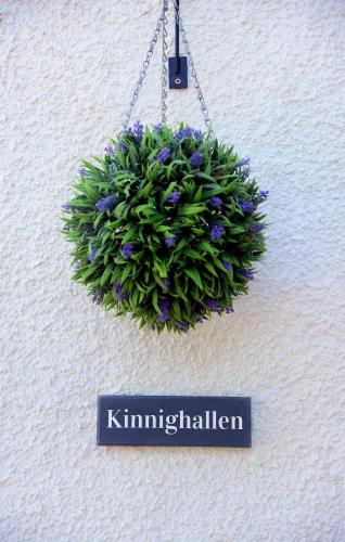 a plant hanging on a wall with a sign at Kates Cottages Kinnighallen in Spott