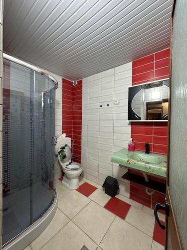 a bathroom with a shower and a toilet and a sink at Hotel Restaurant Real in Kolgecaj