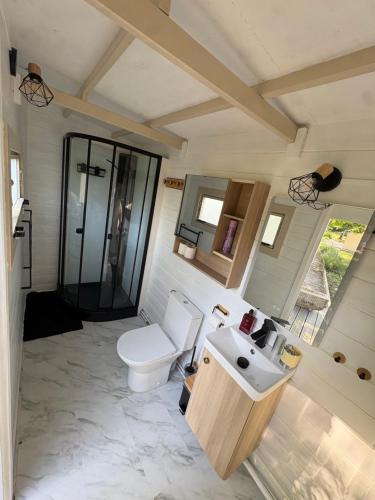 a bathroom with a toilet and a sink at Chalet Le CERF in Marigny