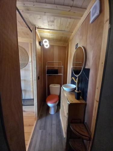 ein Badezimmer mit Toilette, Waschbecken und Spiegel in der Unterkunft la douceur du sud jardin terrasse in Clermont-lʼHérault