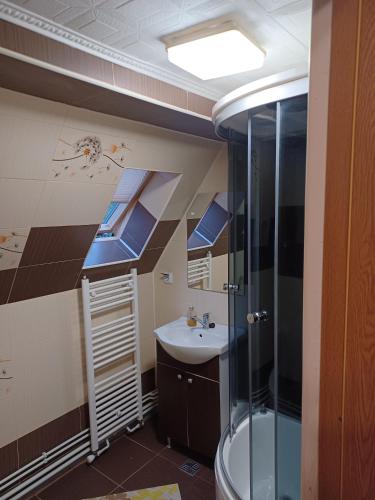a bathroom with a shower and a sink at Pensiunea IULIA in Rod