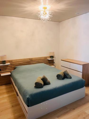 a bedroom with a bed with two pillows on it at Le Faubourg St Martin Gold&Green in Senlis