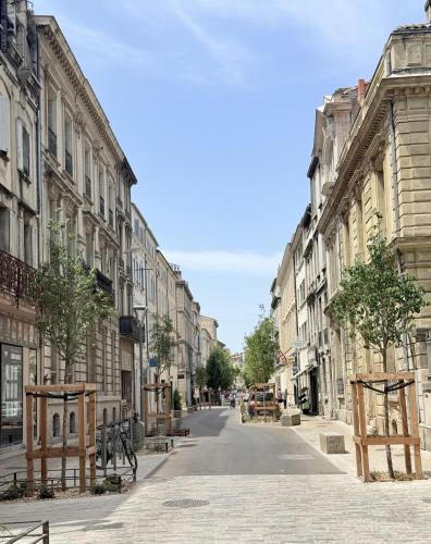 Les 2 platanes coeur historique d'Avignon