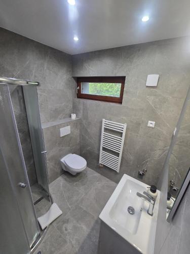 a bathroom with a toilet and a sink and a shower at Penzión Trio in Trnkov