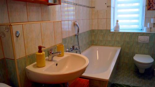 a bathroom with a sink and a toilet at Apartment 24 modern & gemütlich in Dessau