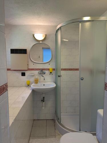 a bathroom with a sink and a shower at Apartmán Gál 3 in Kvačany