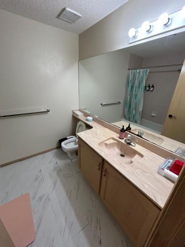 a bathroom with a sink and a mirror and a toilet at Lower Suite- 10 minutes away from airport in Calgary