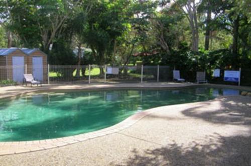 a swimming pool with green water in a yard at Lighthouse Beach Holiday Village in Port Macquarie