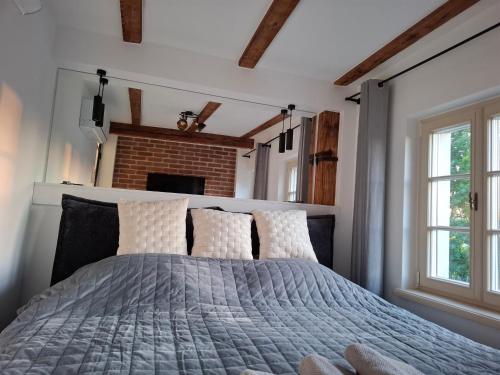 ein Schlafzimmer mit einem Bett und zwei Fenstern in der Unterkunft Rosette Residence LOFT Jacuzzi in Toruń