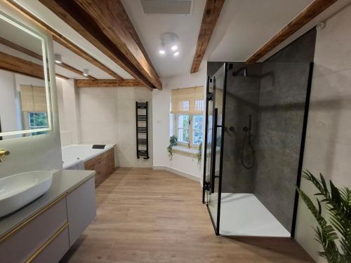 ein Badezimmer mit Dusche und Waschbecken in der Unterkunft Rosette Residence LOFT Jacuzzi in Toruń