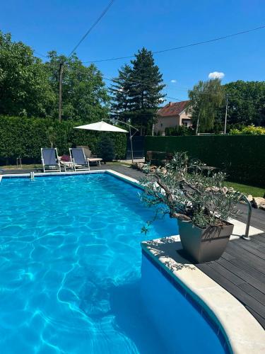 a blue swimming pool with two chairs and an umbrella at La dolce vita in Novi Banovci