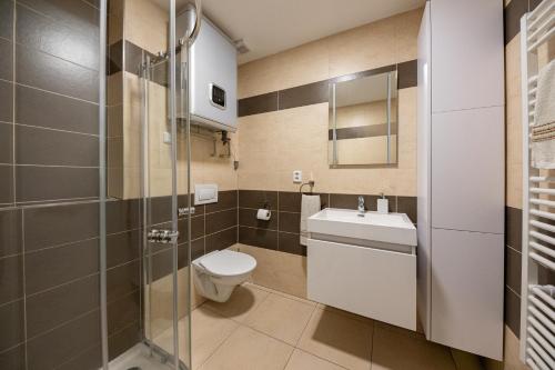 a bathroom with a toilet and a sink at Apartmány Stožec - Nella Premium in Stožec