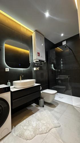 a bathroom with a sink and a toilet at Apartment Niko in Posušje