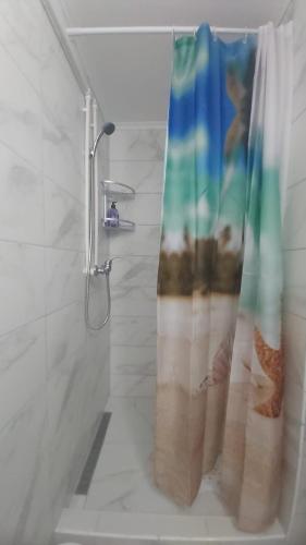 a bathroom with a shower with a shower curtain at Pensiunea Raluca in Mahmudia
