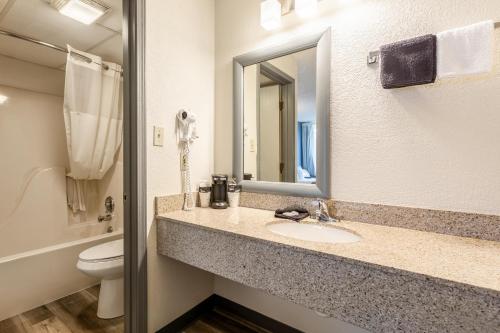 a bathroom with a sink and a toilet and a mirror at Quality Inn Branson On the Strip in Branson