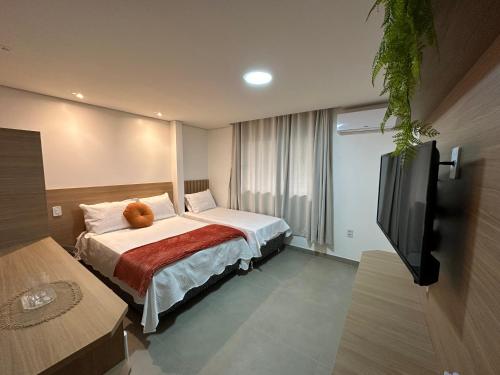 a hotel room with a bed and a flat screen tv at HOTEL TERRA NATIVA in Alter do Chao