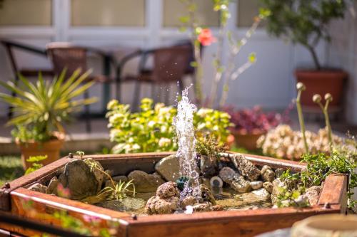 a water fountain in a garden with plants at Durakovic Apartments in Herceg-Novi