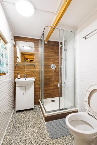 ein Badezimmer mit Dusche und Toilette in der Unterkunft Solina Rest in Solina