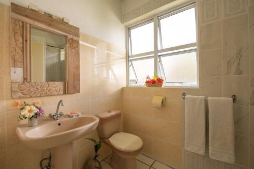 a bathroom with a sink and a toilet and a mirror at Bungalow Tearo in Tiripoa