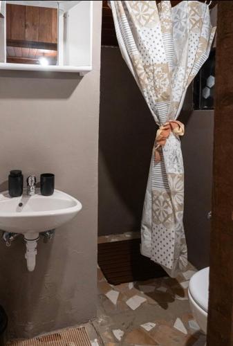 a bathroom with a sink and a shower curtain at Rokova Dolina in Draganovac