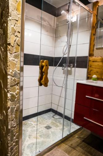 a shower with a glass door in a bathroom at Le p'tit coin de chez nous in Dambach-la-Ville