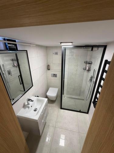 a bathroom with a sink and a shower and a toilet at Widokowy zakątek niedaleko Energylandi apartament Zator in Zator