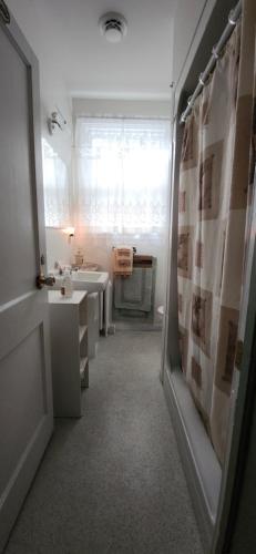 ein Badezimmer mit Waschbecken, Toilette und Spiegel in der Unterkunft Tripp Inn in St. John's