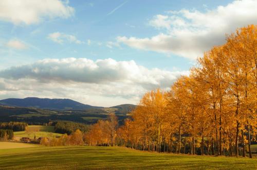 a green field with trees and mountains in the background at Urlaub am Bauernhof Hans im Winkel in Wenigzell