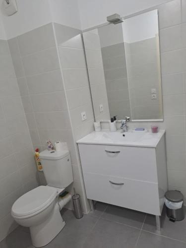 Appartement Nice centre