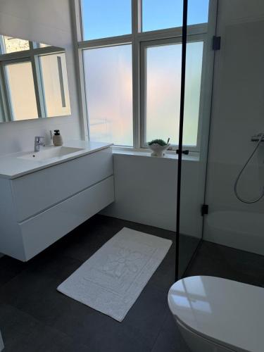 a bathroom with a sink and a toilet and a window at Lille Vedelsborg 1 in Vejle