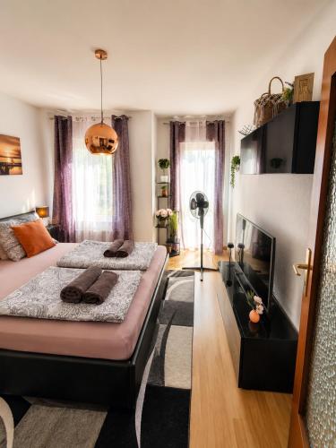 a bedroom with a bed and a flat screen tv at Comfortable Apartment on Elbe River in Dresden