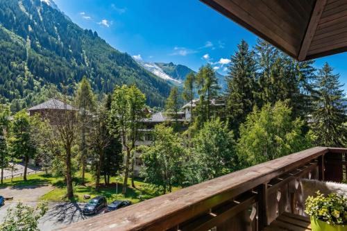 Chamonix Sud photo 8