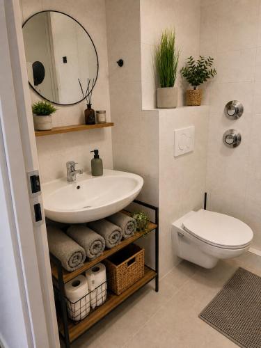 a bathroom with a sink and a toilet and a mirror at Comfortable Apartment on Elbe River in Dresden