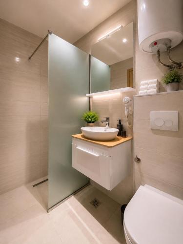 a bathroom with a sink and a toilet and a mirror at Villa Diamond in Mostar