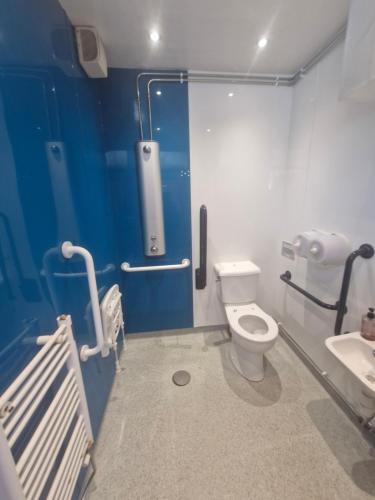 a bathroom with a toilet and a sink at Ty Bert in Newport