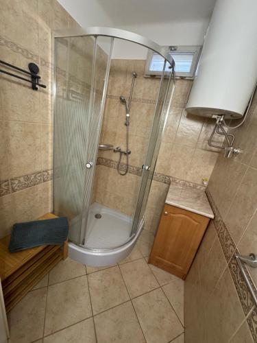 a shower with a glass door in a bathroom at Manna Igal Apartman in Igal