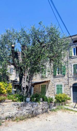 a stone house with a tree in front of it at L'olivier de Jeanine in Contes