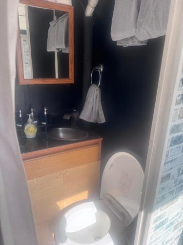ein Badezimmer mit Toilette, Waschbecken und Spiegel in der Unterkunft Comfy camper in Tampa
